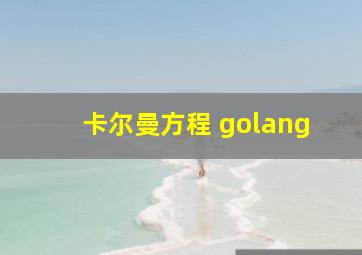 卡尔曼方程 golang